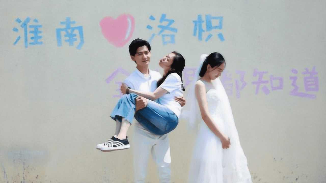 救援呆萌的猫